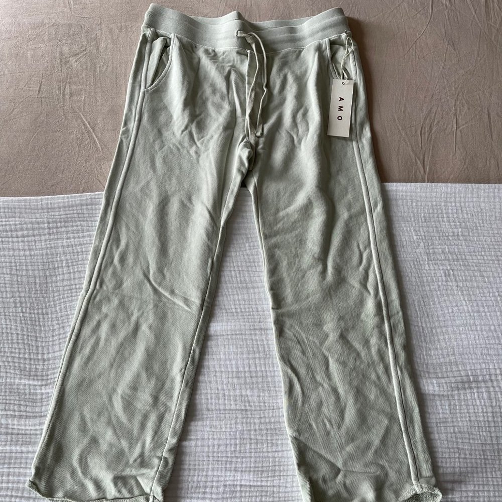 AMO Straight Leg Sweatpants in Seaglass (pastel green)
